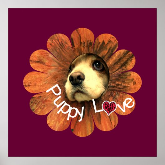 Hondjesliefde Poster (Voorkant)