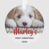Hond's gepersonaliseerde kerst ornament (voorkant)