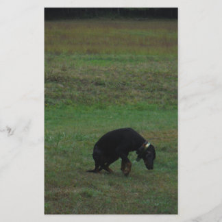 Hondshond die de achtervolging opgeven briefpapier