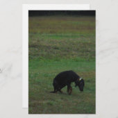 Hondshond die de achtervolging opgeven briefpapier (Voorkant / Achterkant)