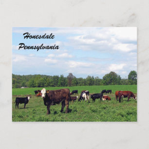 Honesdale Pennsylvania Briefkaart