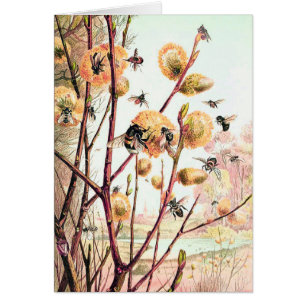 Honey abeille vintage illustration carte blanche