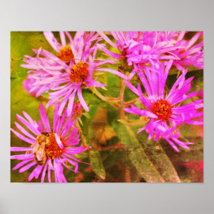 Honey Bee Aster Flower Distressed Art Poster