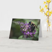 Honey Bee, carte (Fleur jaune)