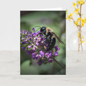 Honey Bee, carte (Fleur jaune)