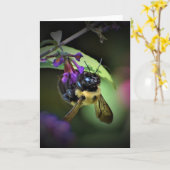 Honey Bee, carte (Fleur jaune)