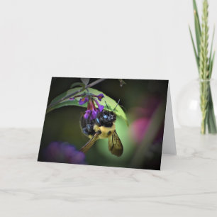 Honey Bee, carte