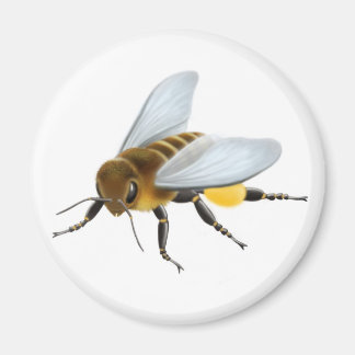 Honey Bee Magnet Magneet