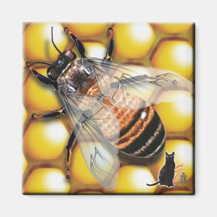 Honey Bee Magnet Magneet