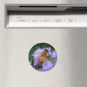Honey Bee Magnet Magneet (Insitu (Vaatwasser))