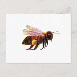 Honey Bee met zijn Pollen Manden Illustratie Feestdagenkaart