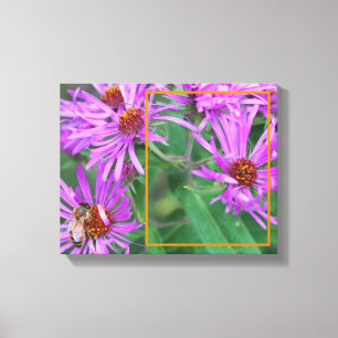 Honey Bee Pink Aster Flower Creëer Uw eigen foto Canvas Afdruk