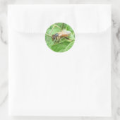 Honey Bee ~ sticker (Tas)