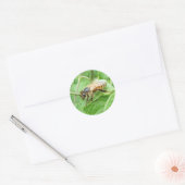 Honey Bee ~ sticker (Envelop)