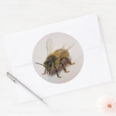 Honey Bee Sticker (Envelop)