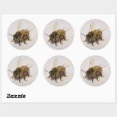 Honey Bee Sticker (Vel)