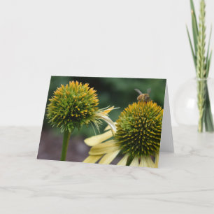 Honey Bee sur la carte de voeux du Conflower