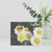 Honey Bee sur la carte postale Fall Mums (Debout devant)