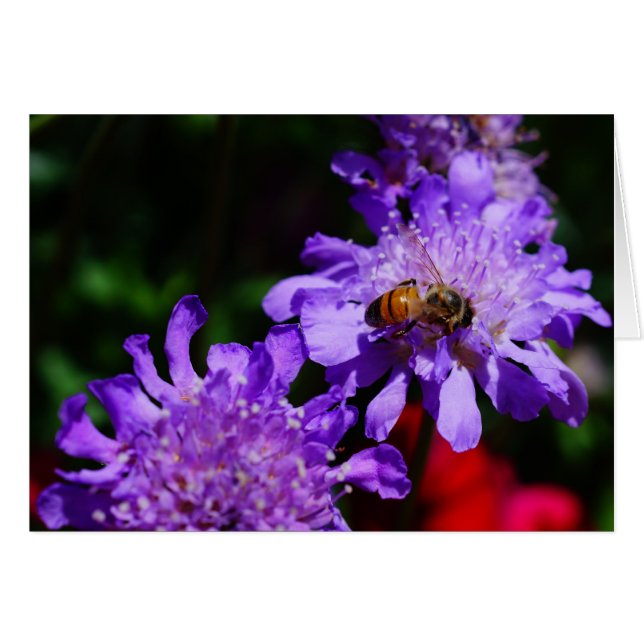 Honey Bee'n Fabriqué ! (Devant horizontal)