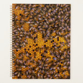 HONEY BEES (Devant)