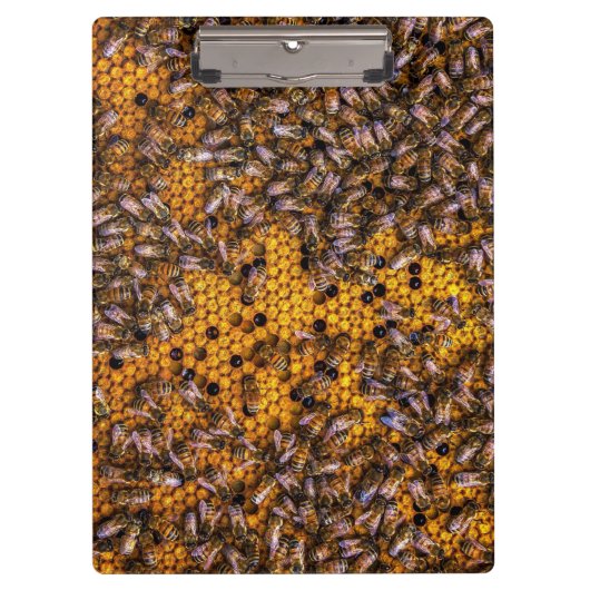 HONEY BEES KLEMBORD (Voorkant)