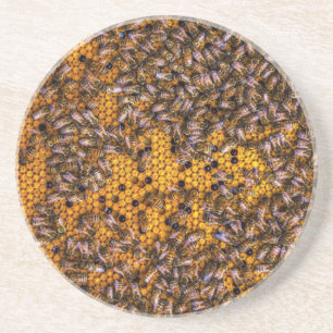 HONEY BEES ZANDSTEEN ONDERZETTER