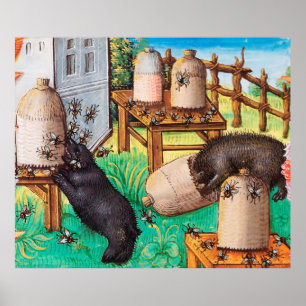 HONEY THIEF BEREN, BEES, BEE HIV-HIV-HIV-HIV-AIDS POSTER