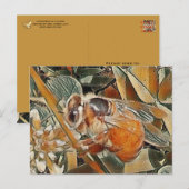 HONEYBEE EN CLOVER - CARTE POSTALE (Devant / Derrière)
