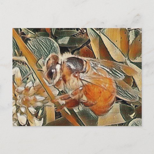 HONEYBEE EN CLOVER - CARTE POSTALE (Devant)
