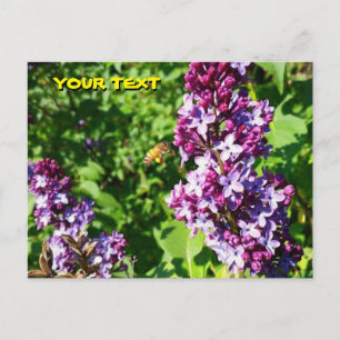 Honeybee Loves Lilacs Briefkaart