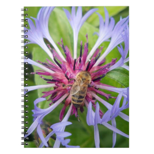Honeybee Mandala Notitieboek (Voorkant)