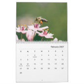 Honeybee Wall Agenda Kalender (Feb 2027)