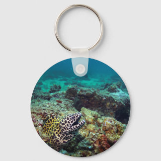 Honeycomb moray sleutelhanger