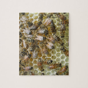 Honeycomb Puzzle Legpuzzel