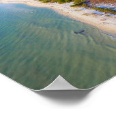 Honeymoon Island, Florida Poster (Hoek)