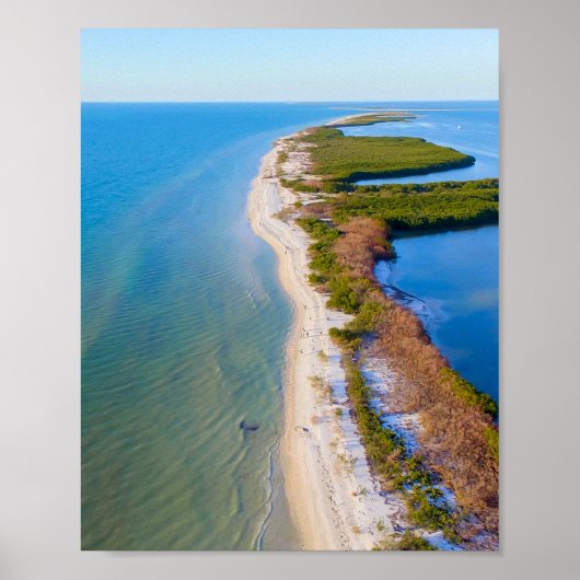 Honeymoon Island, Florida Poster (Voorkant)