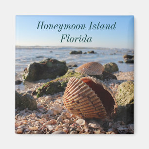 Honeymoon Island Florida Romantic Seashells magnet Magneet