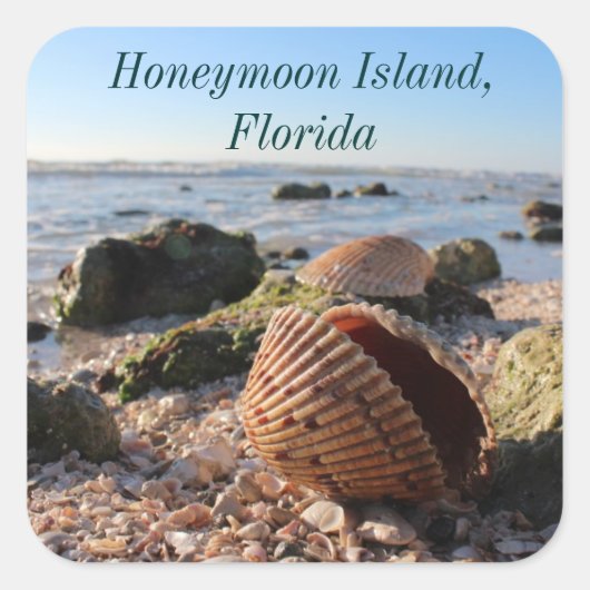 Honeymoon Island Florida strand schelp Vierkante Sticker (Voorkant)