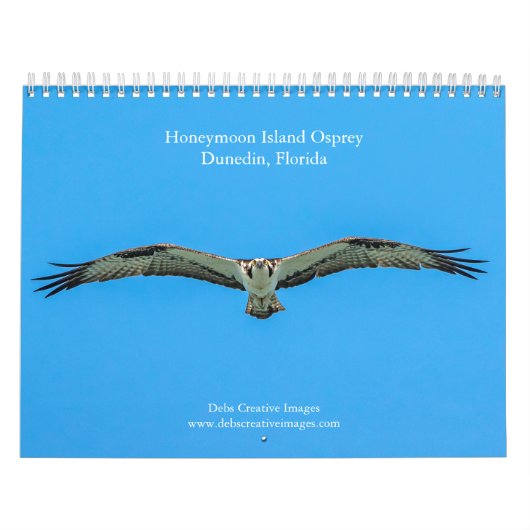 Honeymoon Island Osprey 2026 Kalender (Hoes)