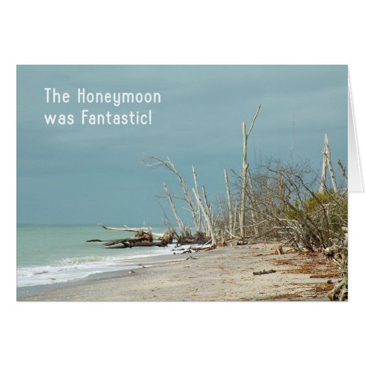 Honeymoon was Fantastic Card, Natural Beach Blank (Devant horizontal)