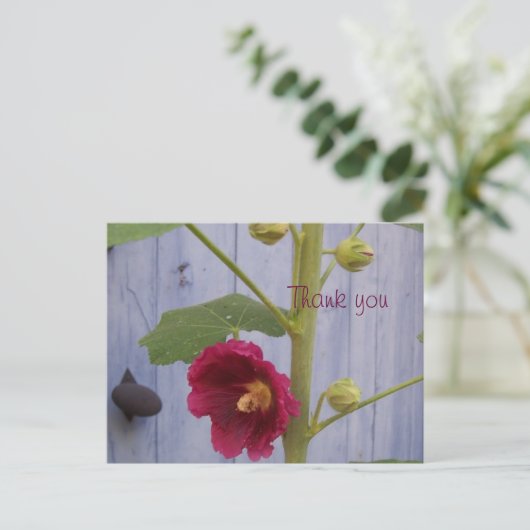 Honeysuccle dankt u briefkaart (Staand voorkant)