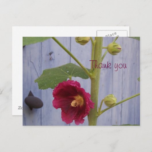 Honeysuccle dankt u briefkaart (Voorkant / Achterkant)