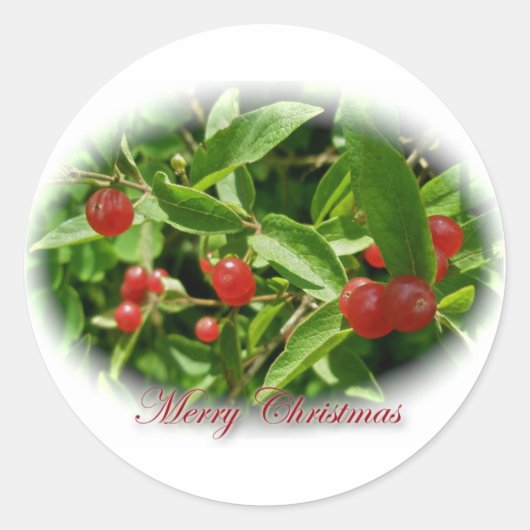 Honeysuckle Berries Kerst stickers (Voorkant)