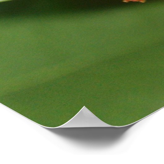 Honeysuckle Berries Poster (Hoek)