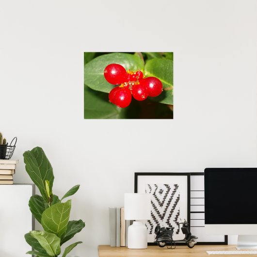 Honeysuckle Berries Poster (Thuiskantoor)