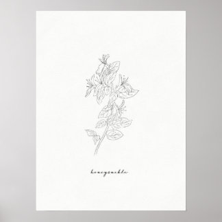 Honeysuckle Birth Flower Print
