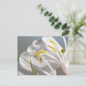 Honeysuckle Briefkaart (Staand voorkant)