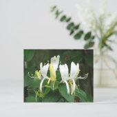 Honeysuckle Briefkaart (Staand voorkant)