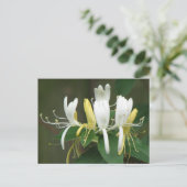 Honeysuckle Briefkaart (Staand voorkant)