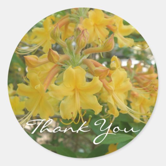 Honeysuckle Dank u Stickers (Voorkant)